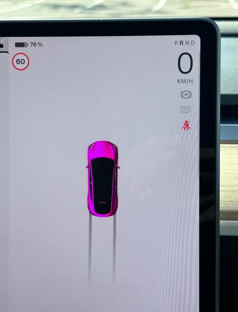 Visualization on the Tesla screen while parked in an open parking lot based on ultrasonic sensor input 