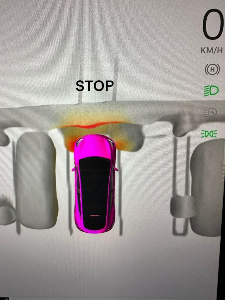 Visualization on the Tesla screen based on Tesla Vision algorithm while parked in shopping centre 