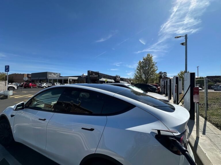 Tesla Model Y and BYD Sealion 7 lead Australian EV sales in first half of 2026