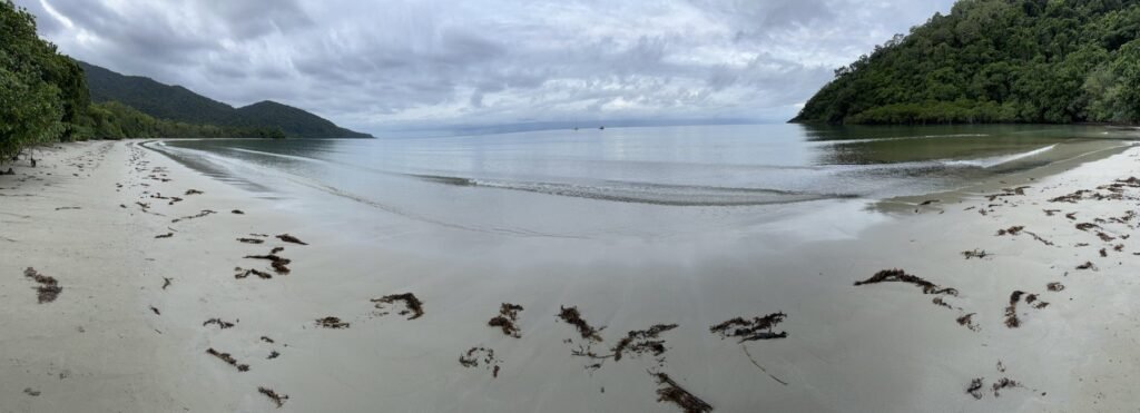 Empty white-sand beach curving between rainforest-covered headlands at Cape Tribulation