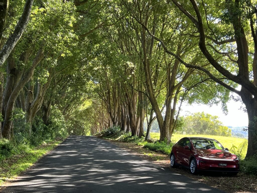 Red Tesla Model Y parked beside a narrow road under an arching tunnel of trees